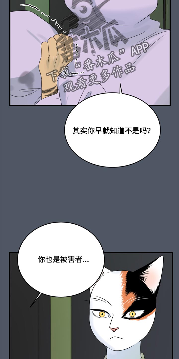 《灵猫欧米伽》漫画最新章节第80章：【第二季】理所应当做的事免费下拉式在线观看章节第【7】张图片