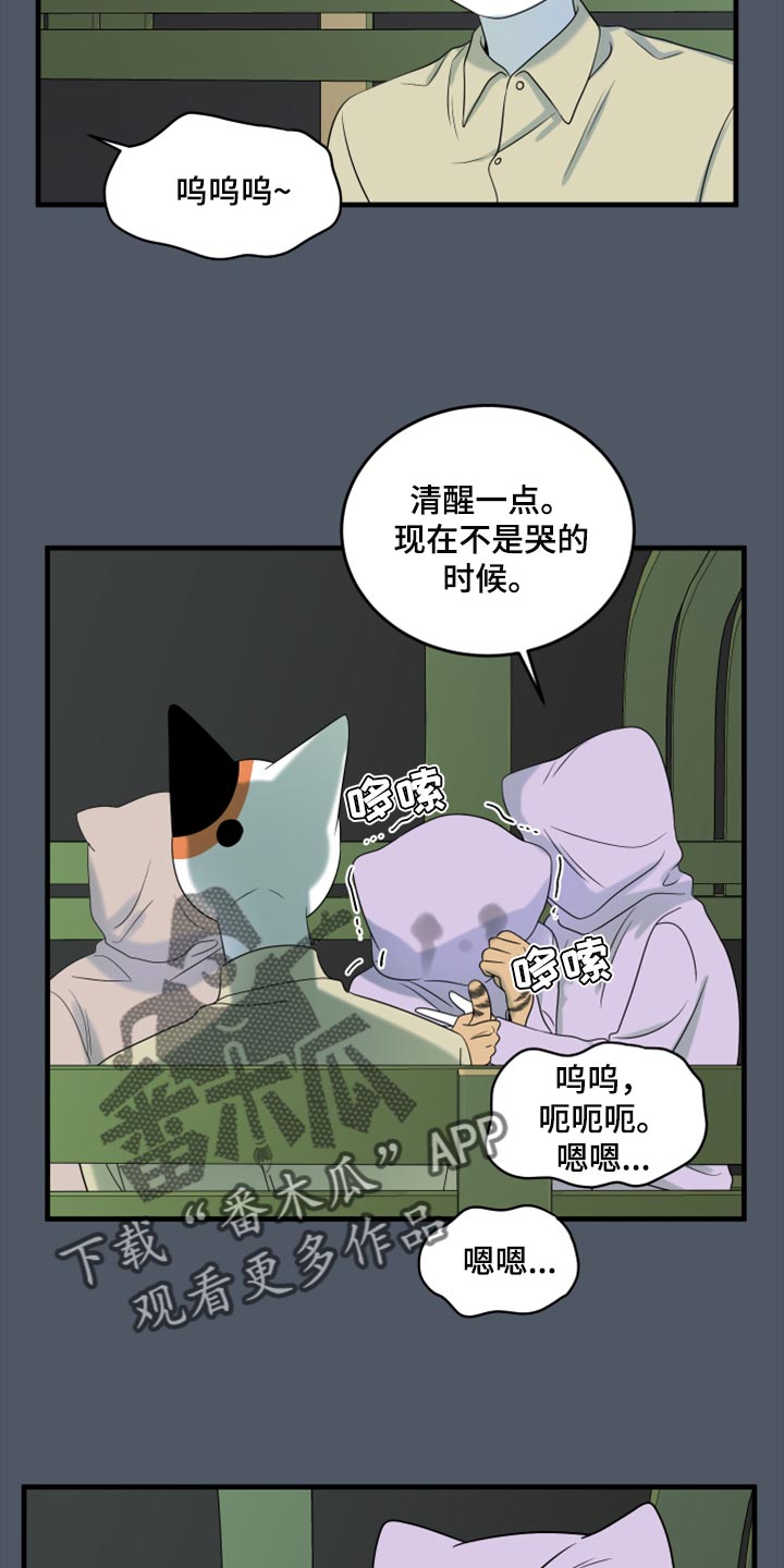 《灵猫欧米伽》漫画最新章节第80章：【第二季】理所应当做的事免费下拉式在线观看章节第【10】张图片