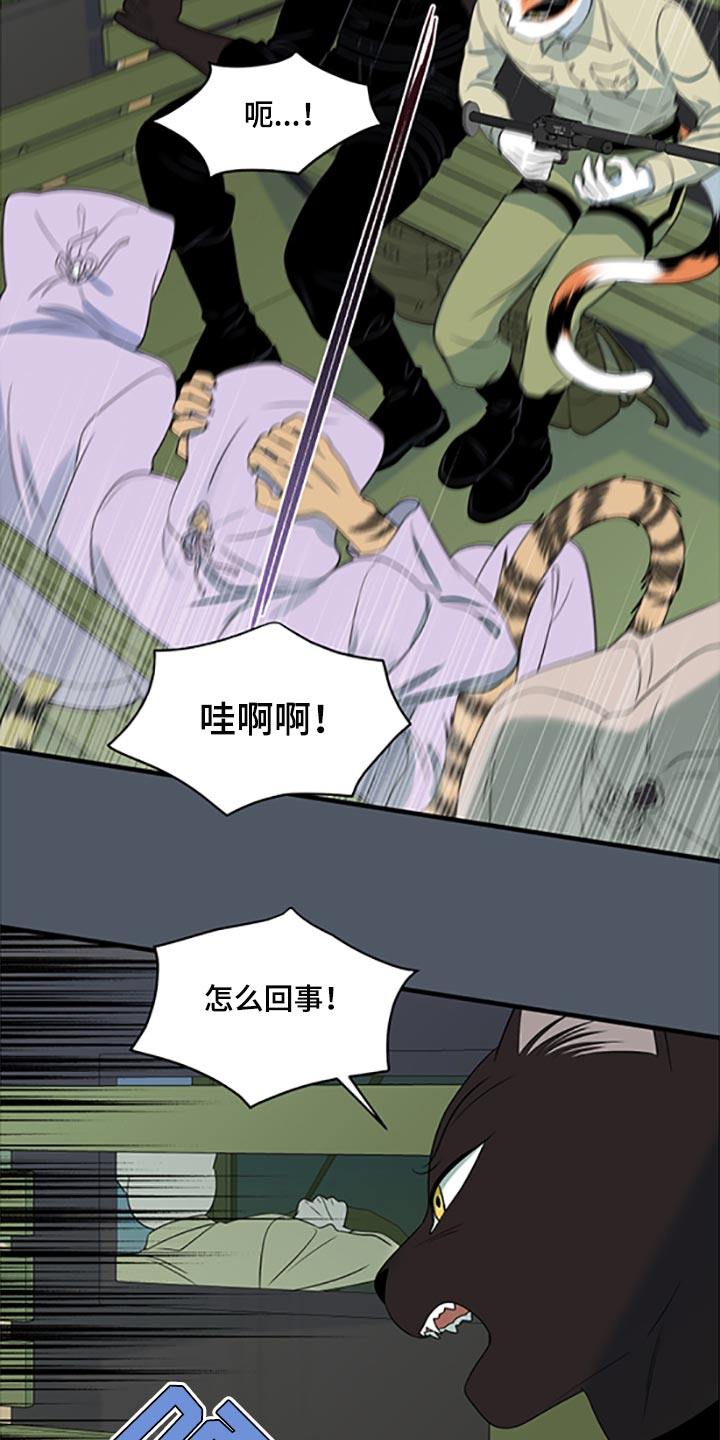 《灵猫欧米伽》漫画最新章节第80章：【第二季】理所应当做的事免费下拉式在线观看章节第【16】张图片