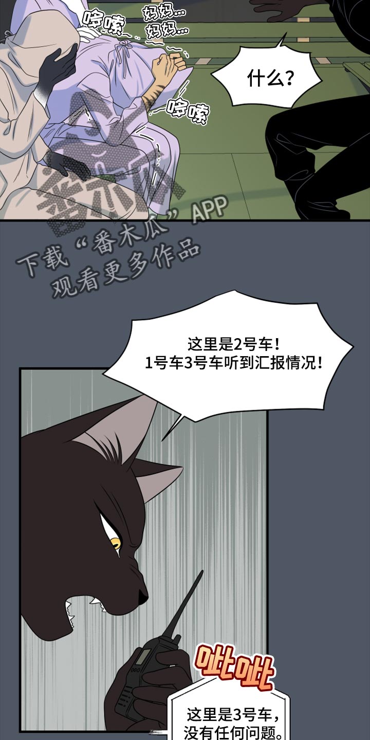 《灵猫欧米伽》漫画最新章节第80章：【第二季】理所应当做的事免费下拉式在线观看章节第【13】张图片