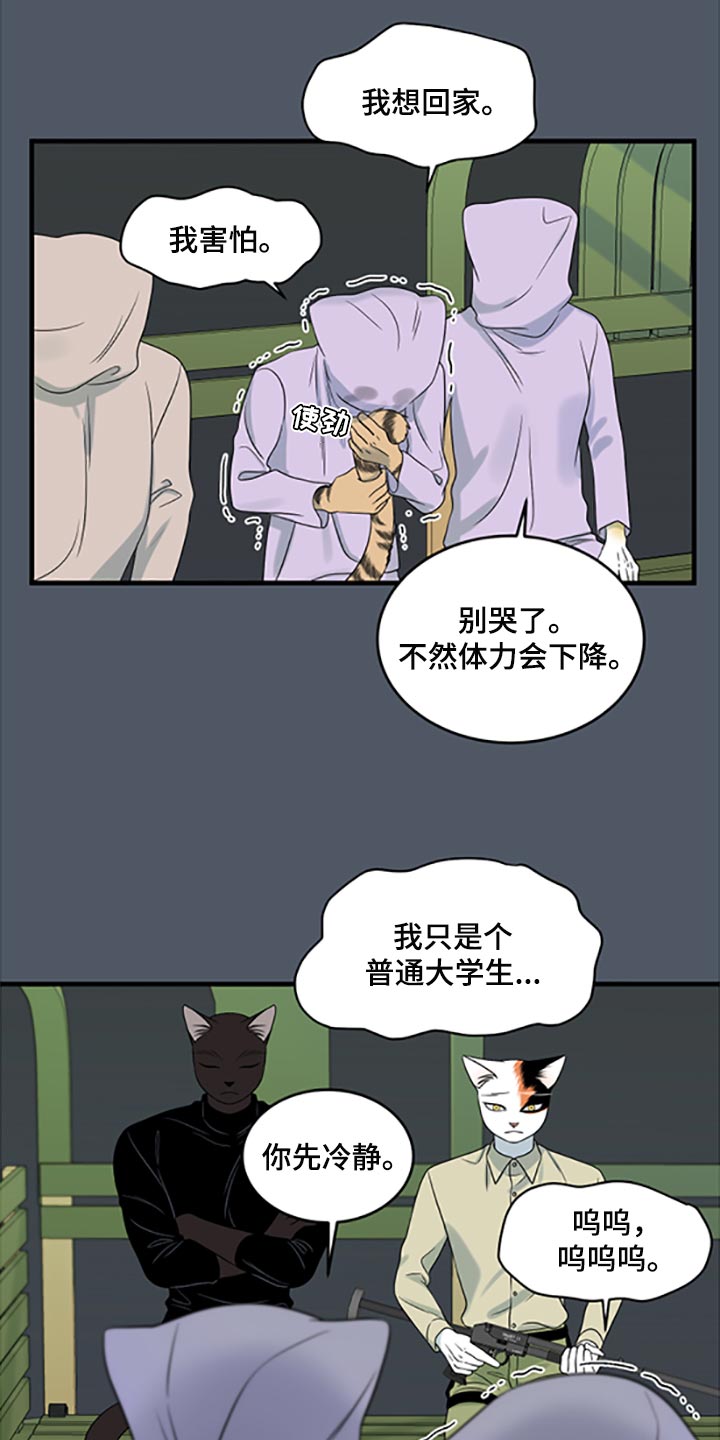 《灵猫欧米伽》漫画最新章节第80章：【第二季】理所应当做的事免费下拉式在线观看章节第【23】张图片