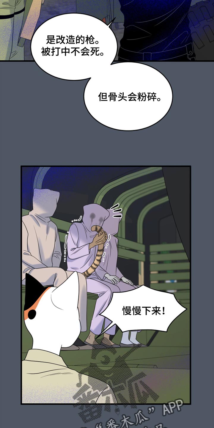 《灵猫欧米伽》漫画最新章节第81章：【第二季】中弹免费下拉式在线观看章节第【23】张图片