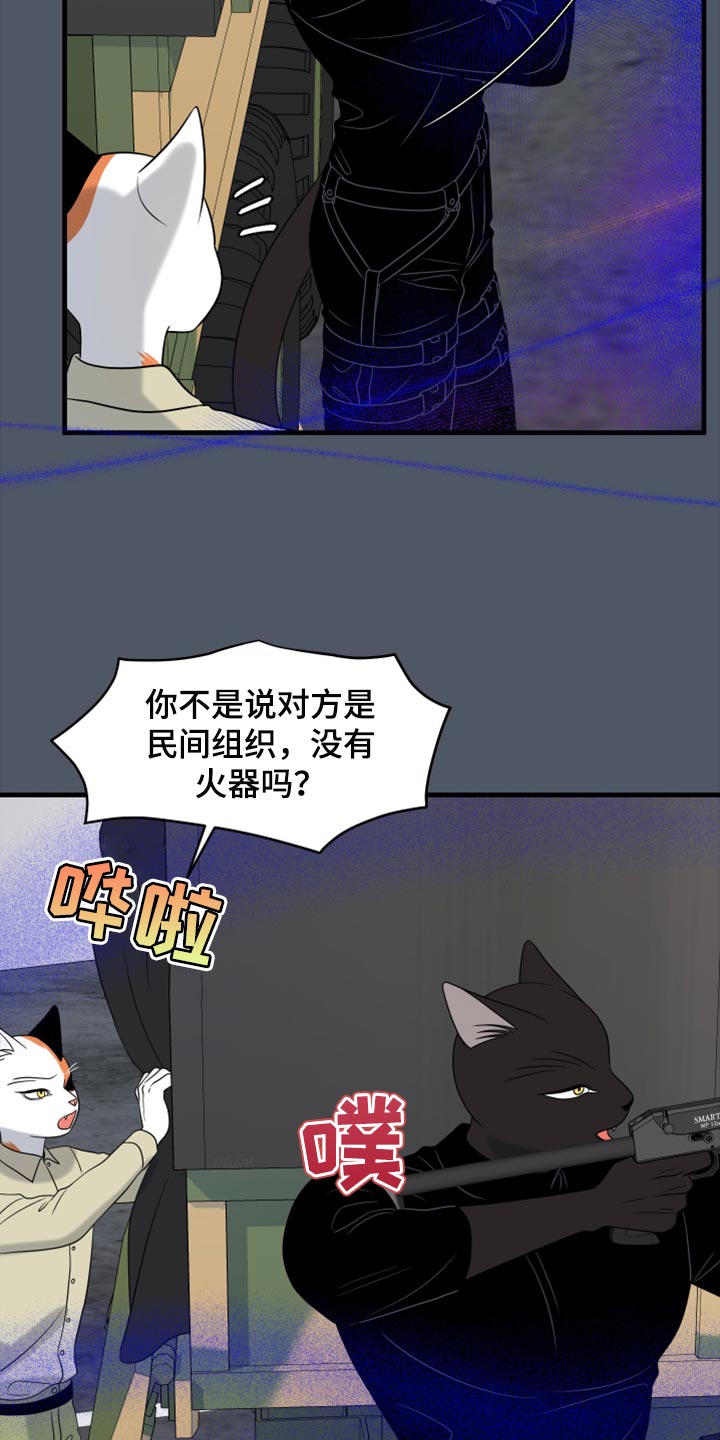 《灵猫欧米伽》漫画最新章节第81章：【第二季】中弹免费下拉式在线观看章节第【24】张图片