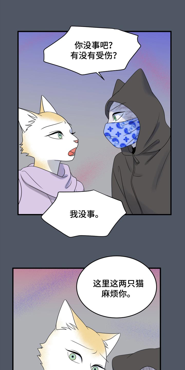 《灵猫欧米伽》漫画最新章节第81章：【第二季】中弹免费下拉式在线观看章节第【5】张图片