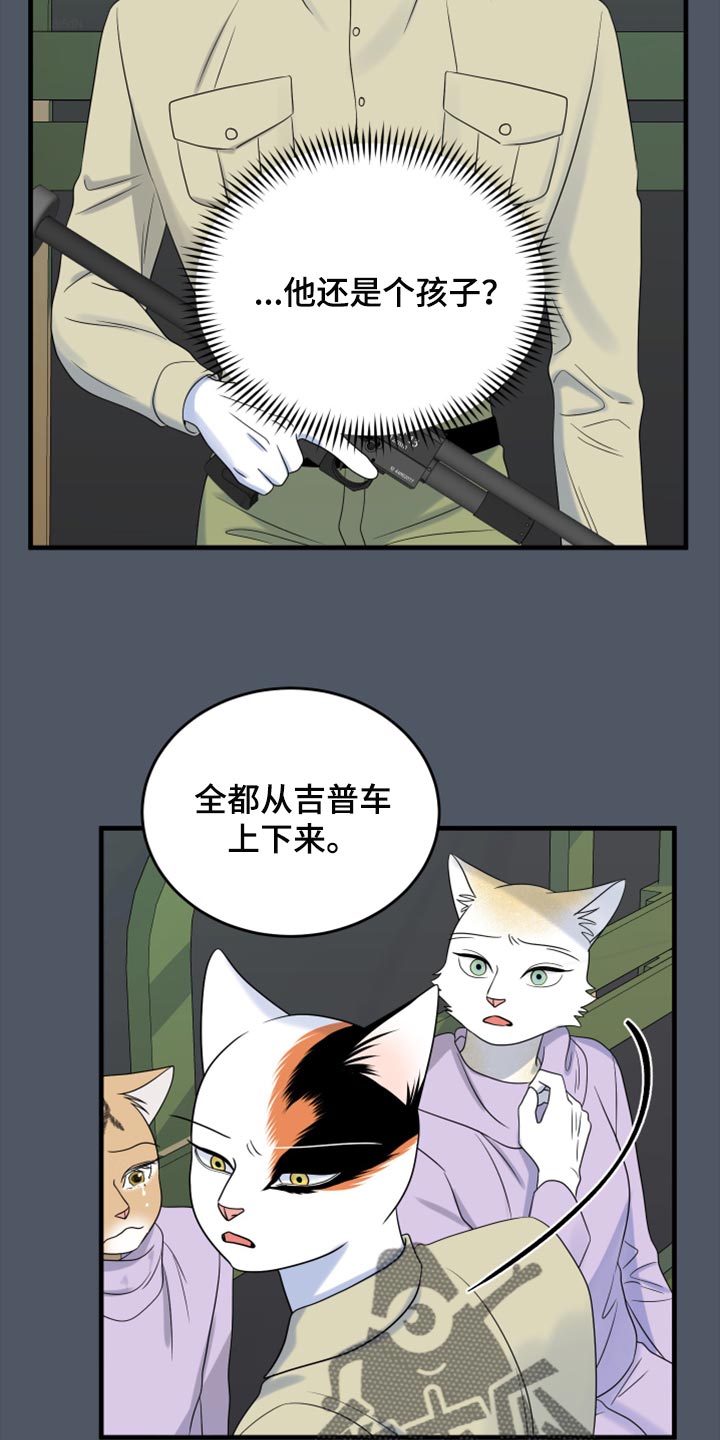 《灵猫欧米伽》漫画最新章节第81章：【第二季】中弹免费下拉式在线观看章节第【9】张图片