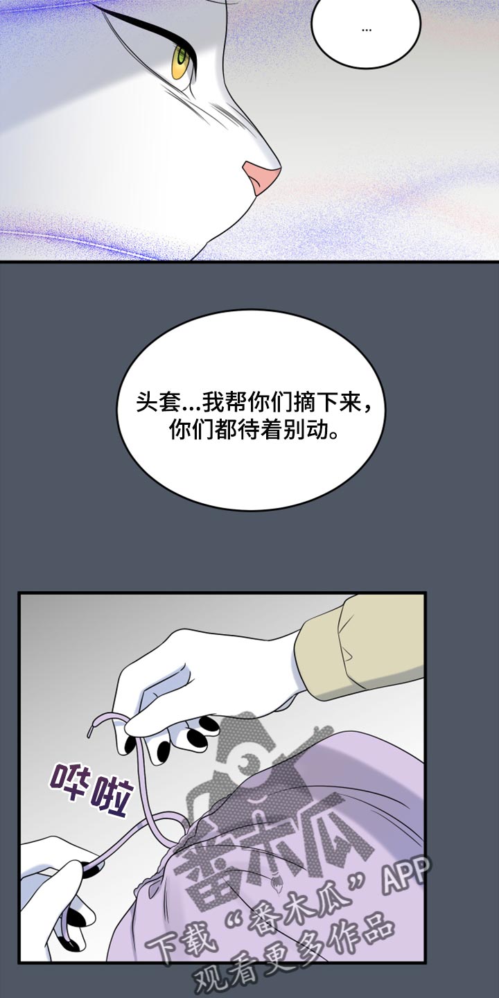 《灵猫欧米伽》漫画最新章节第81章：【第二季】中弹免费下拉式在线观看章节第【12】张图片