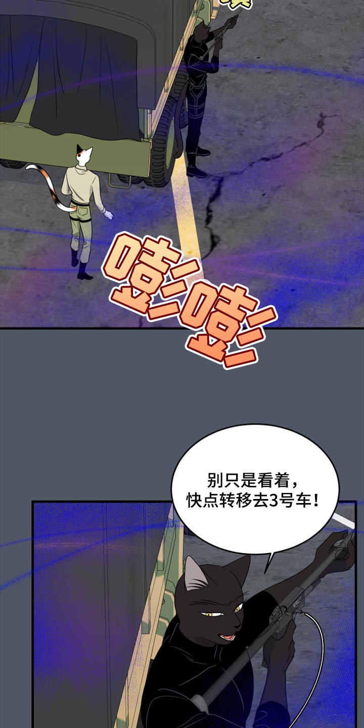 《灵猫欧米伽》漫画最新章节第81章：【第二季】中弹免费下拉式在线观看章节第【25】张图片