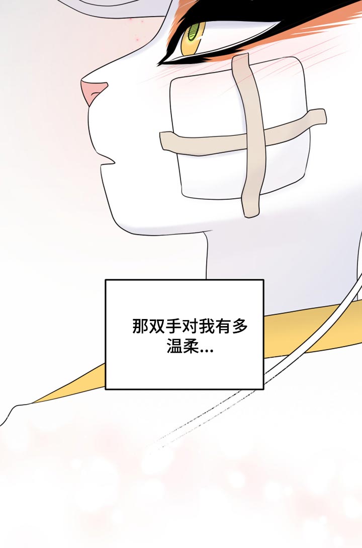 《灵猫欧米伽》漫画最新章节第82章：【第二季】我不能离开免费下拉式在线观看章节第【8】张图片