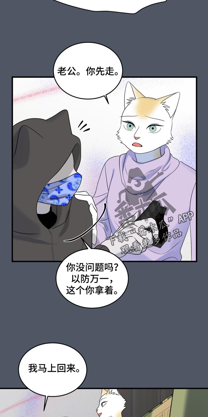 《灵猫欧米伽》漫画最新章节第82章：【第二季】我不能离开免费下拉式在线观看章节第【22】张图片