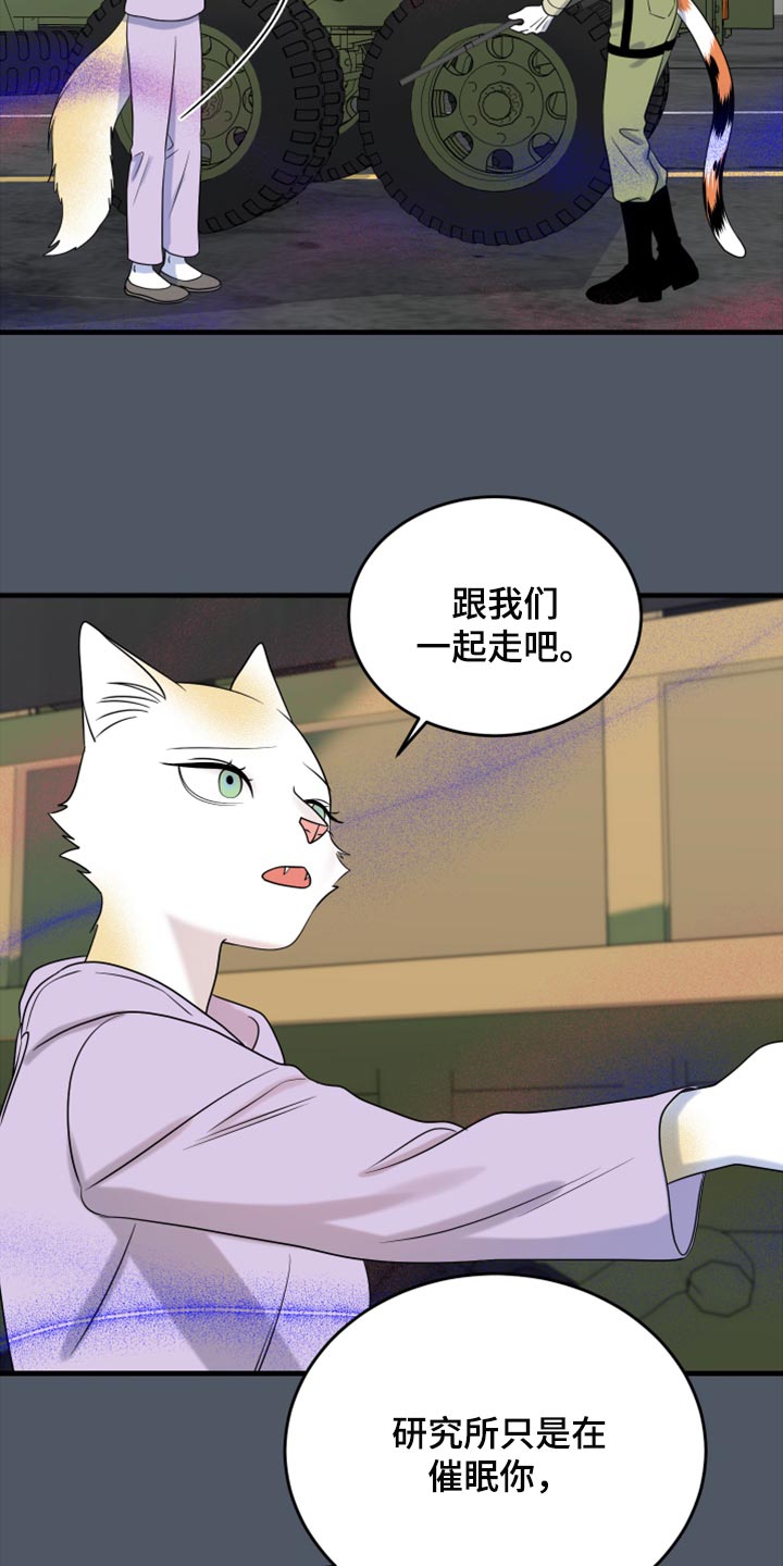 《灵猫欧米伽》漫画最新章节第82章：【第二季】我不能离开免费下拉式在线观看章节第【18】张图片