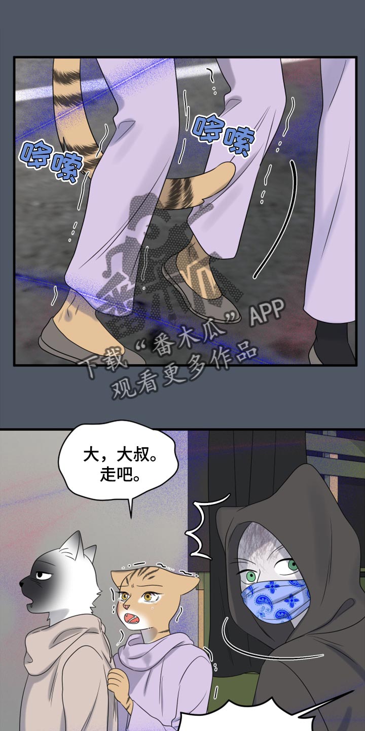 《灵猫欧米伽》漫画最新章节第82章：【第二季】我不能离开免费下拉式在线观看章节第【25】张图片