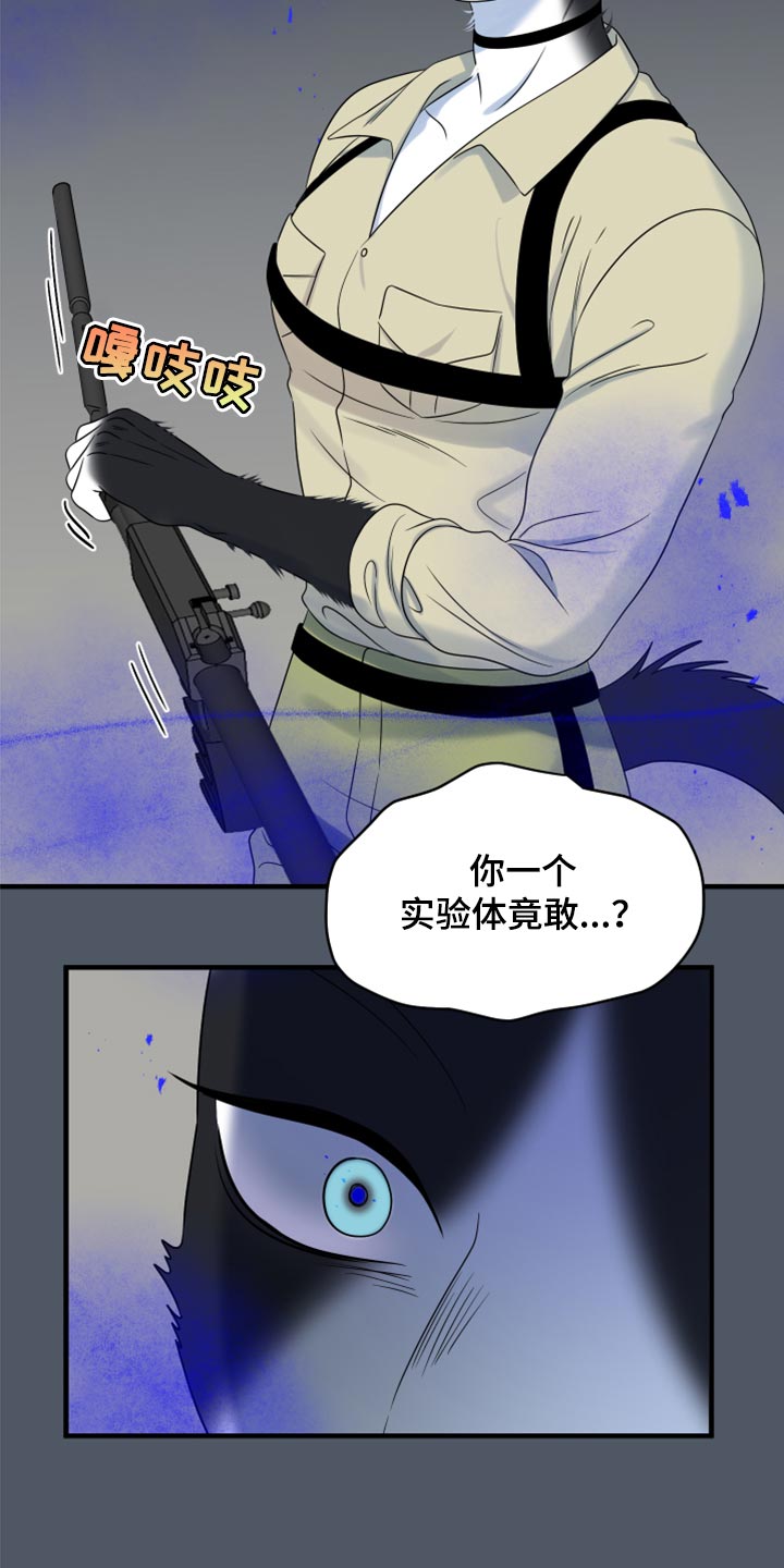 《灵猫欧米伽》漫画最新章节第83章：【第二季】捕猎免费下拉式在线观看章节第【6】张图片