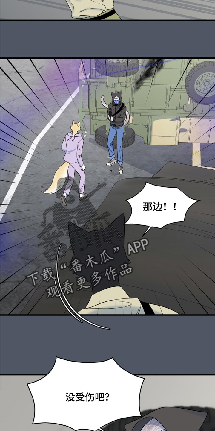 《灵猫欧米伽》漫画最新章节第83章：【第二季】捕猎免费下拉式在线观看章节第【15】张图片