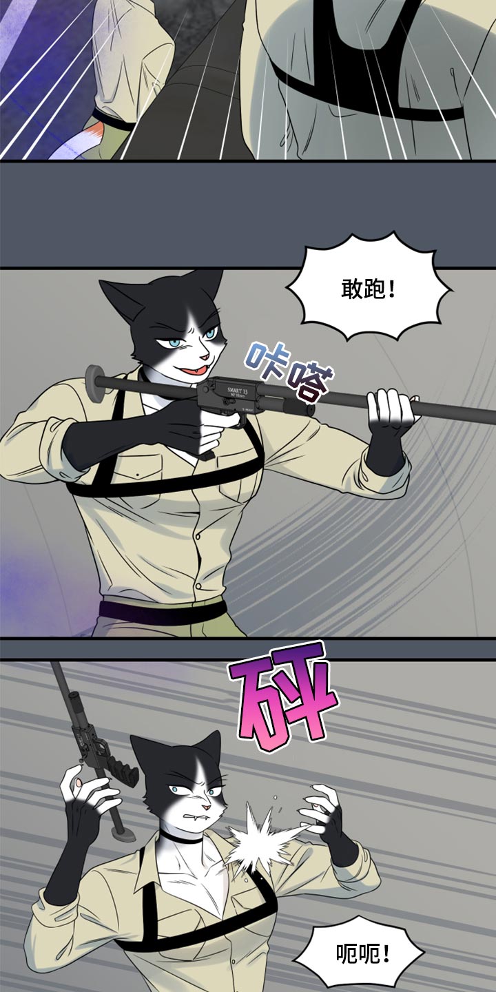 《灵猫欧米伽》漫画最新章节第83章：【第二季】捕猎免费下拉式在线观看章节第【16】张图片