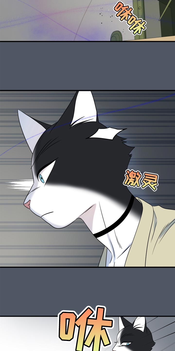 《灵猫欧米伽》漫画最新章节第83章：【第二季】捕猎免费下拉式在线观看章节第【9】张图片