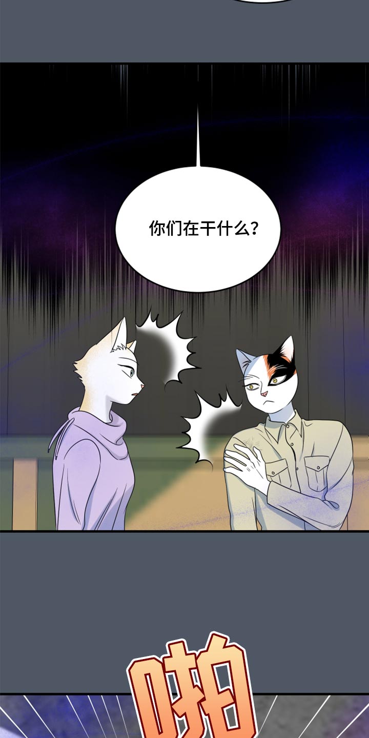 《灵猫欧米伽》漫画最新章节第83章：【第二季】捕猎免费下拉式在线观看章节第【19】张图片