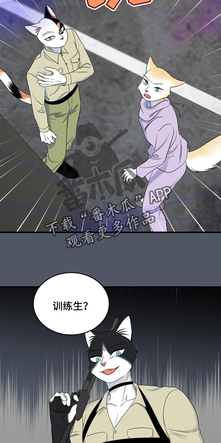 《灵猫欧米伽》漫画最新章节第83章：【第二季】捕猎免费下拉式在线观看章节第【18】张图片