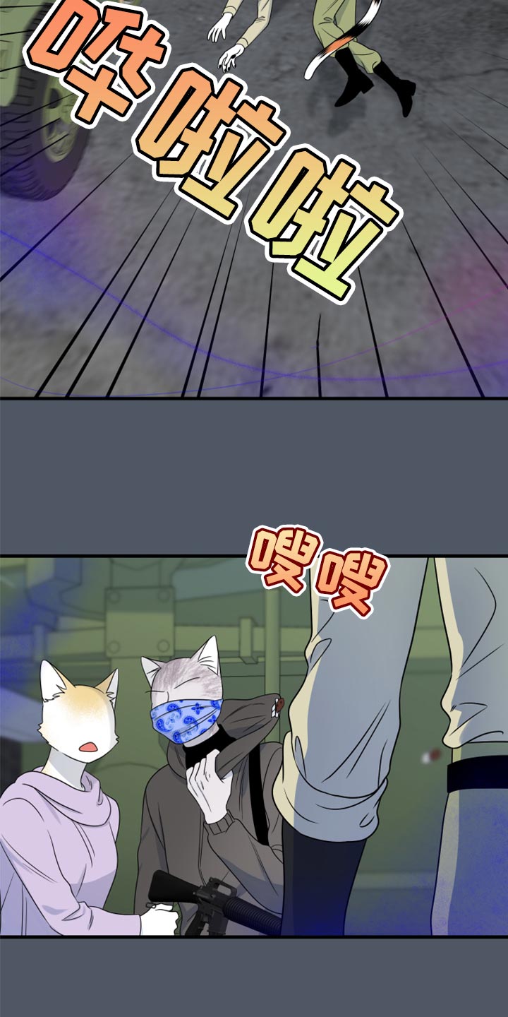 《灵猫欧米伽》漫画最新章节第83章：【第二季】捕猎免费下拉式在线观看章节第【4】张图片