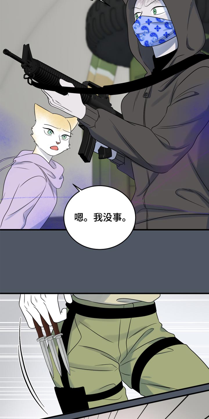 《灵猫欧米伽》漫画最新章节第83章：【第二季】捕猎免费下拉式在线观看章节第【14】张图片