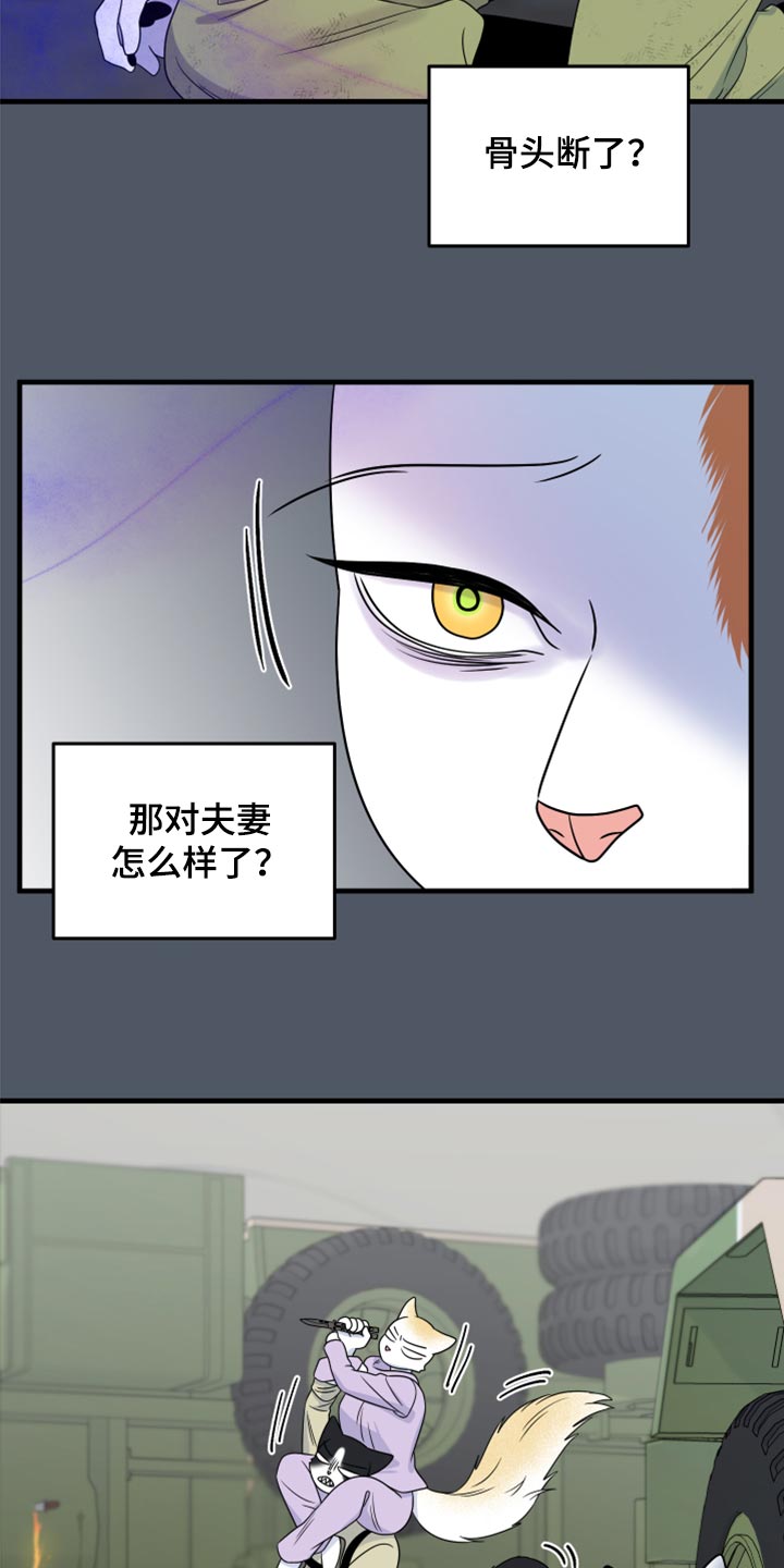 《灵猫欧米伽》漫画最新章节第84章：【第二季】爆炸免费下拉式在线观看章节第【10】张图片