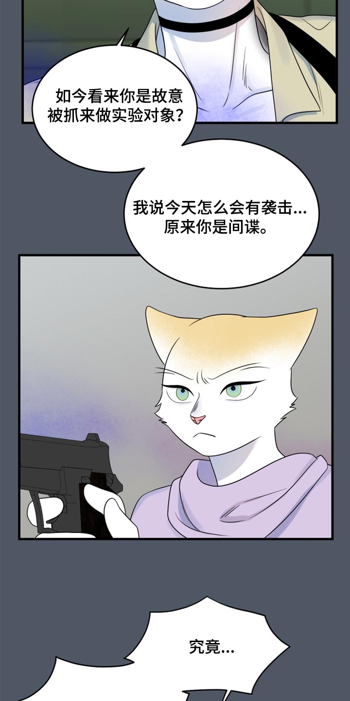 灵猫欧米伽-第84章：【第二季】爆炸全彩韩漫标签