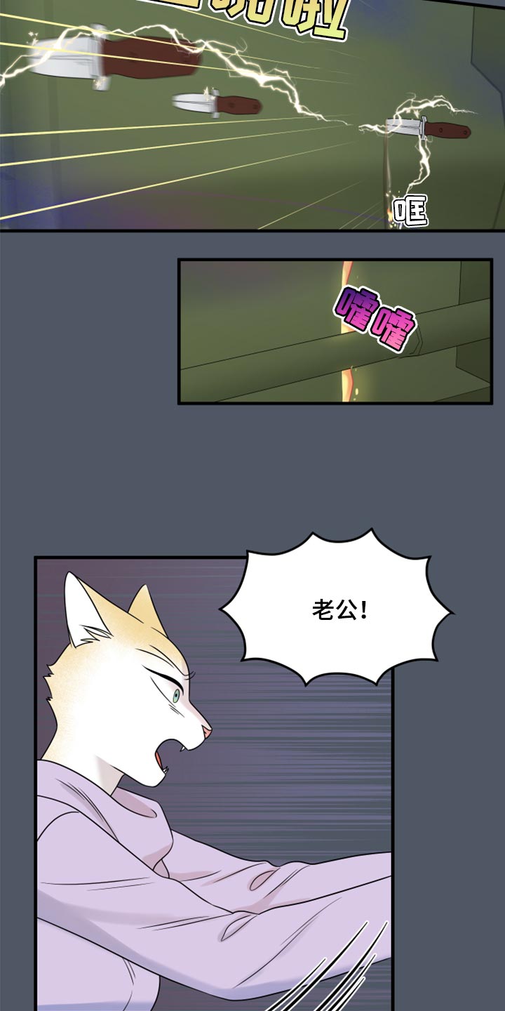 《灵猫欧米伽》漫画最新章节第84章：【第二季】爆炸免费下拉式在线观看章节第【13】张图片