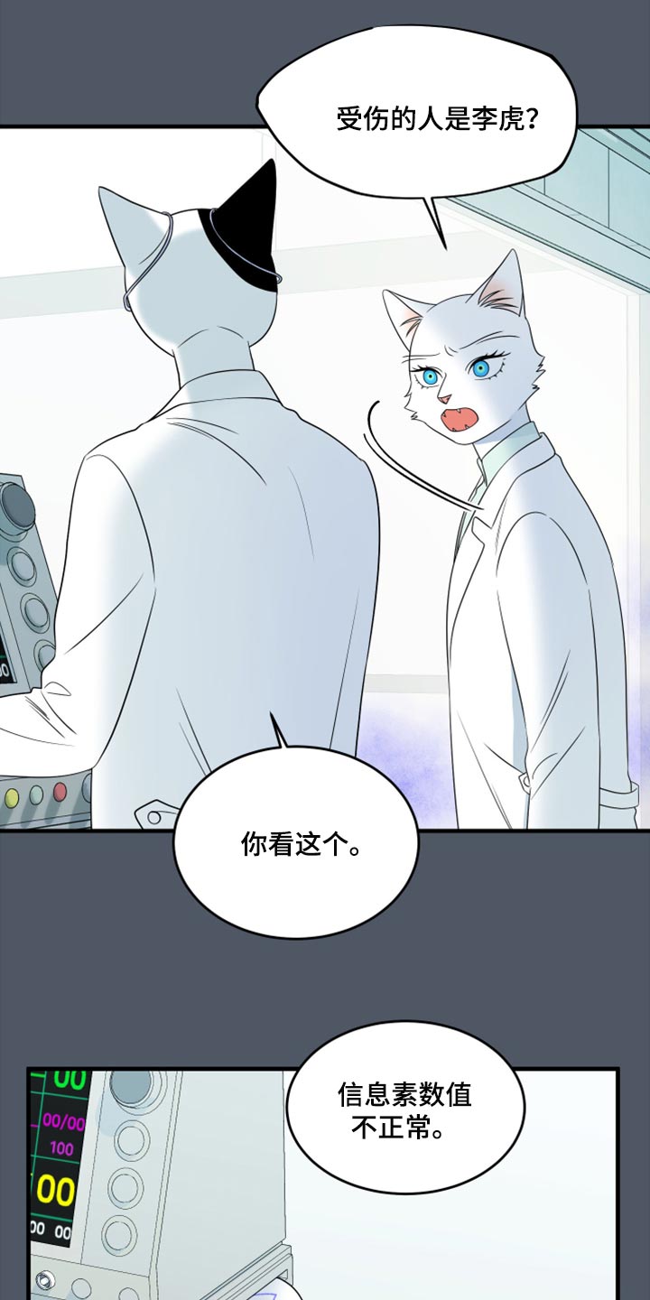 《灵猫欧米伽》漫画最新章节第85章：【第二季】失控免费下拉式在线观看章节第【19】张图片