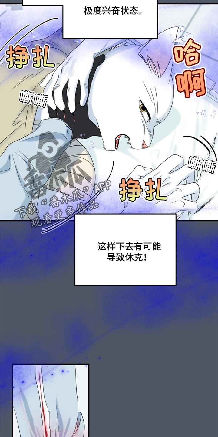 《灵猫欧米伽》漫画最新章节第85章：【第二季】失控免费下拉式在线观看章节第【10】张图片