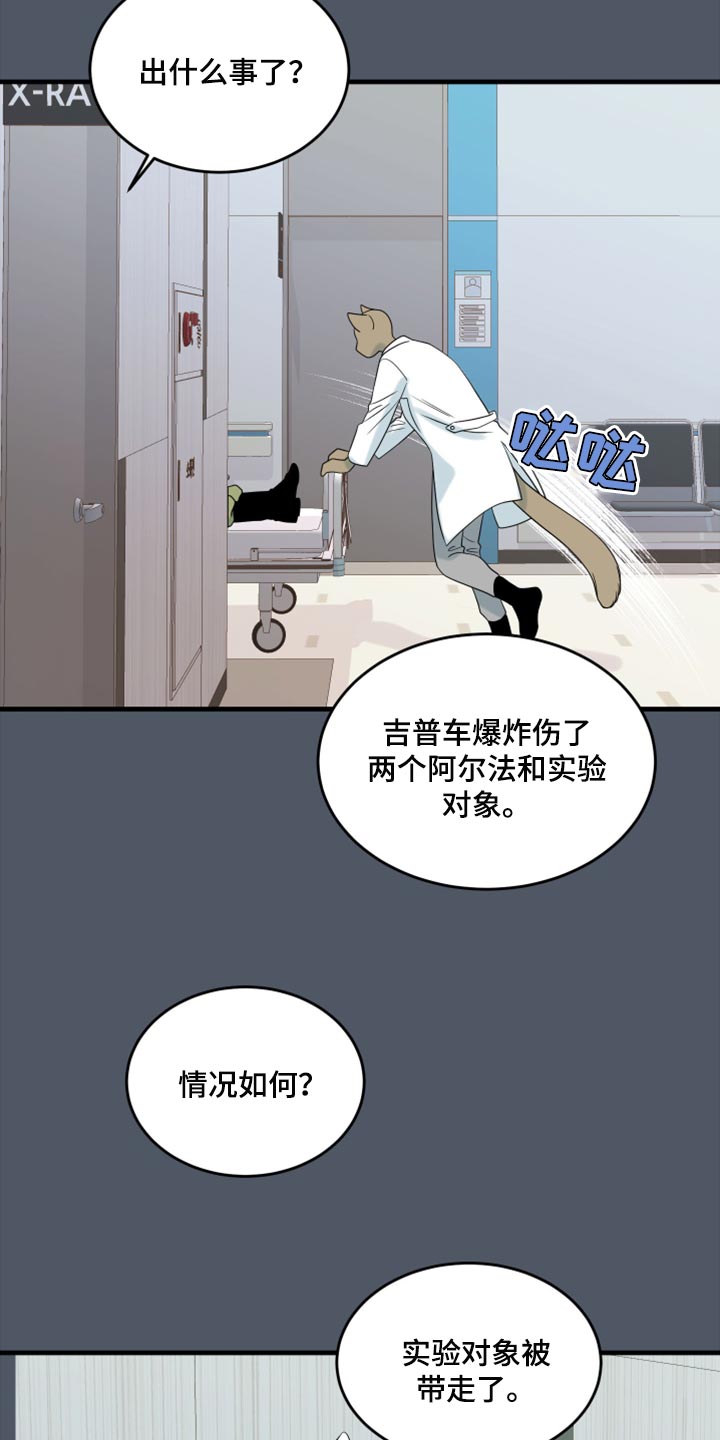 《灵猫欧米伽》漫画最新章节第85章：【第二季】失控免费下拉式在线观看章节第【23】张图片