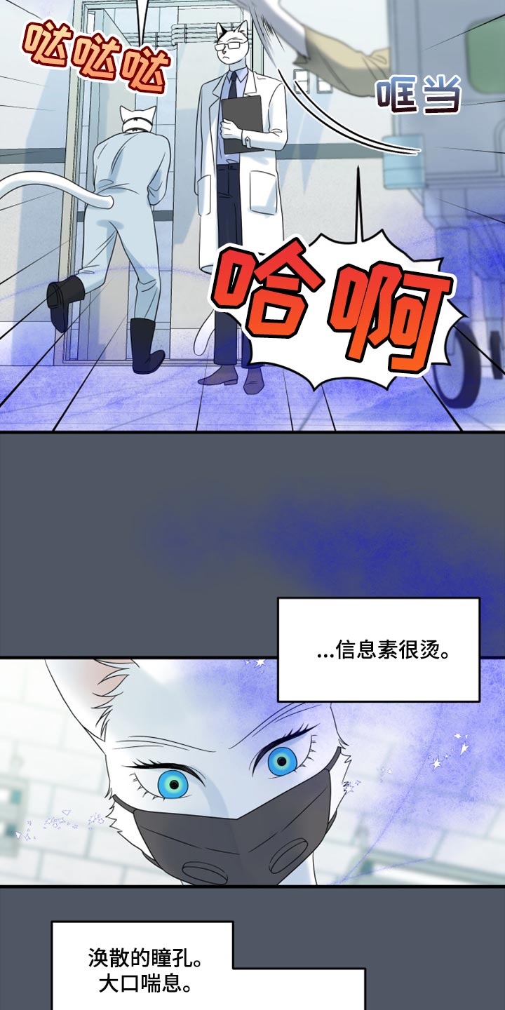 《灵猫欧米伽》漫画最新章节第85章：【第二季】失控免费下拉式在线观看章节第【11】张图片