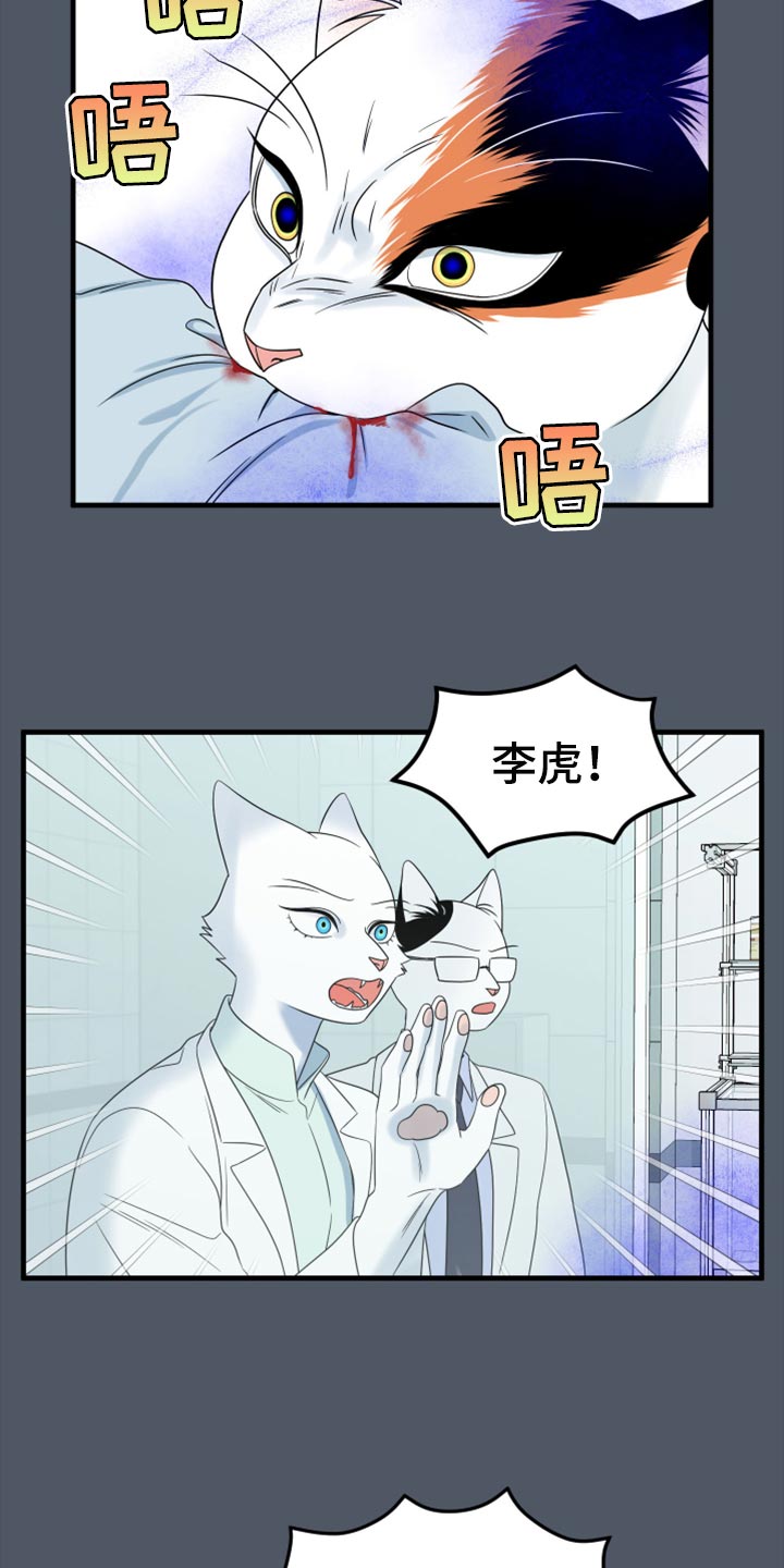 《灵猫欧米伽》漫画最新章节第85章：【第二季】失控免费下拉式在线观看章节第【16】张图片