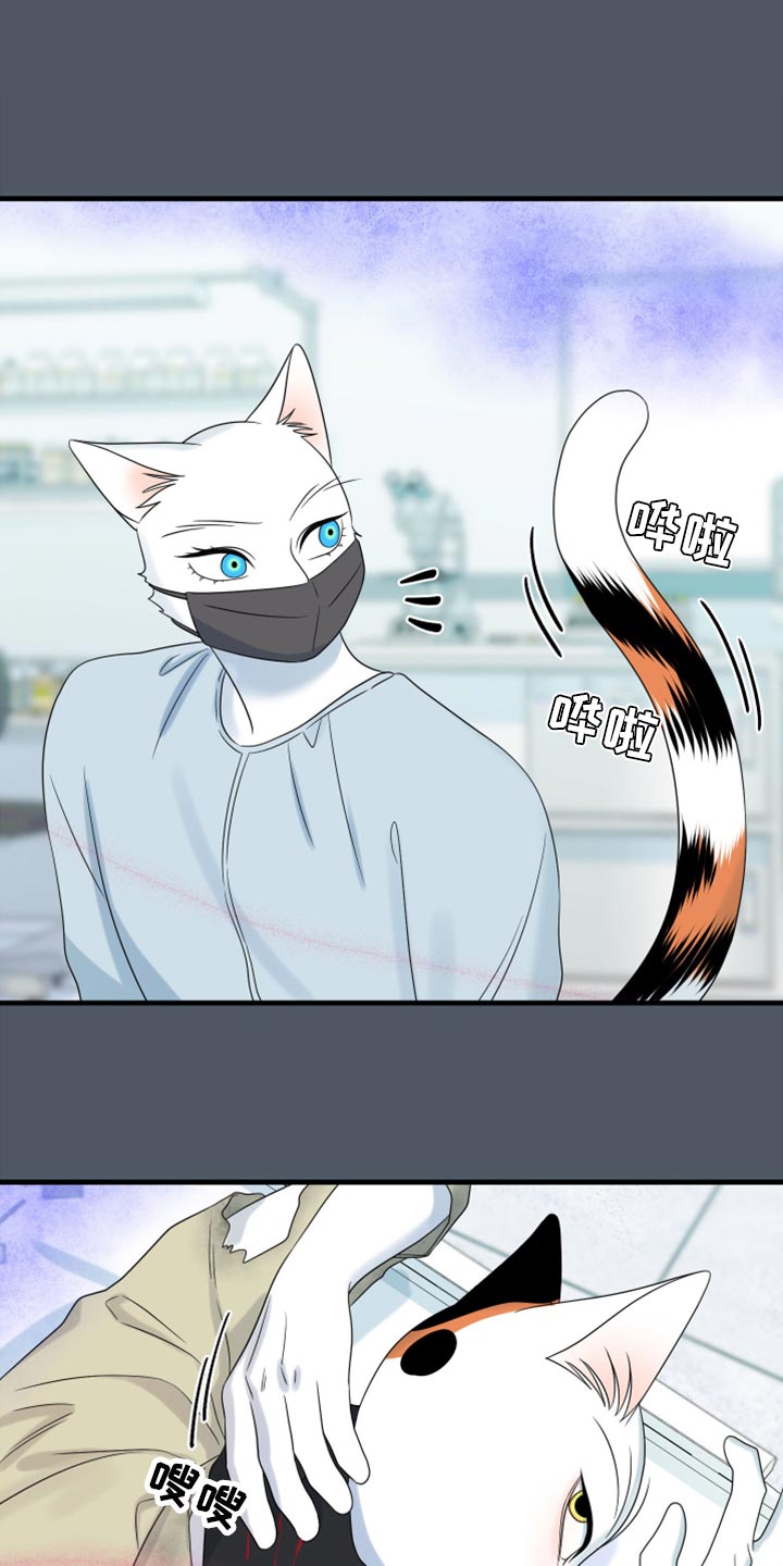 《灵猫欧米伽》漫画最新章节第85章：【第二季】失控免费下拉式在线观看章节第【8】张图片