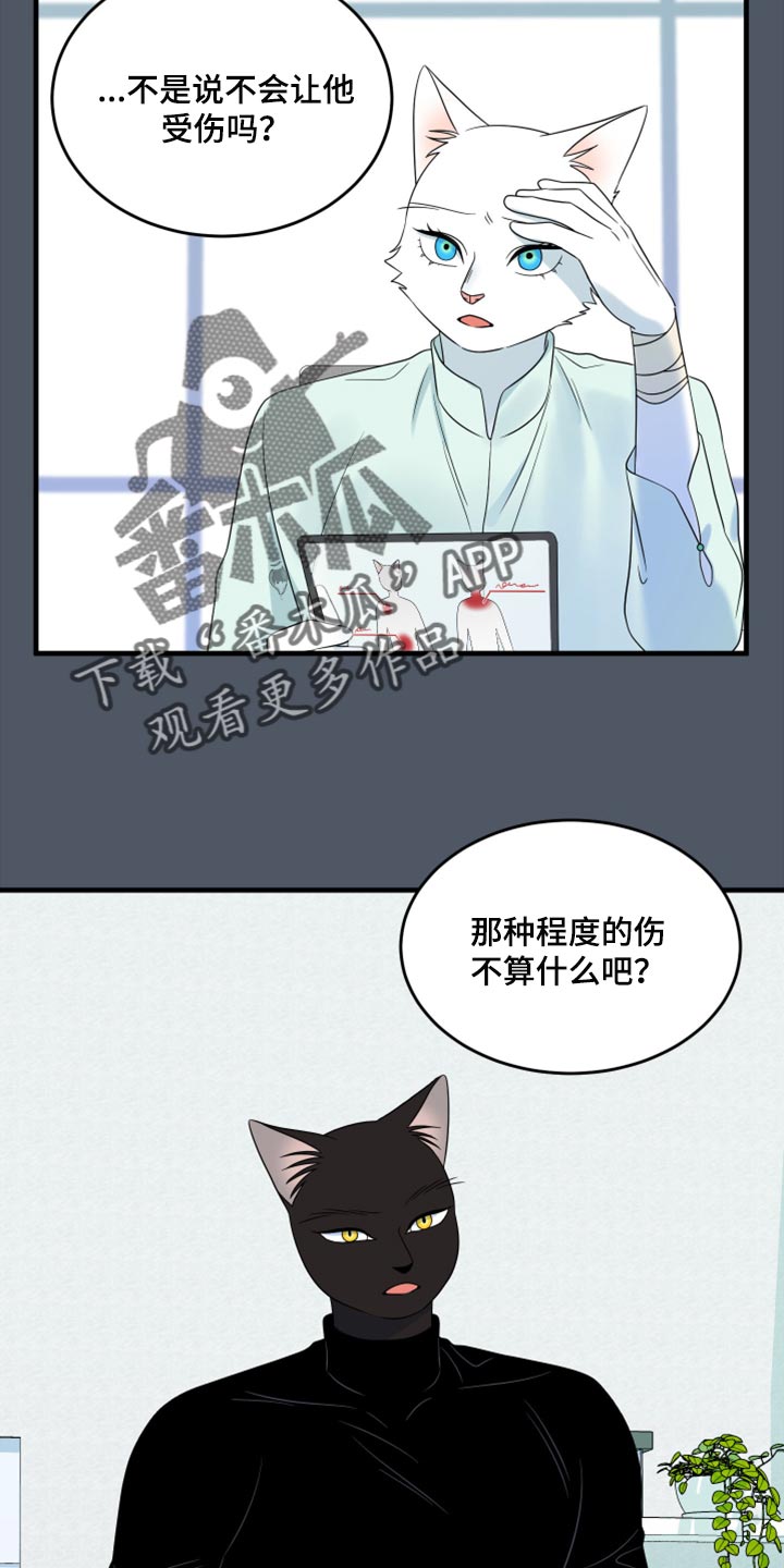 《灵猫欧米伽》漫画最新章节第85章：【第二季】失控免费下拉式在线观看章节第【2】张图片