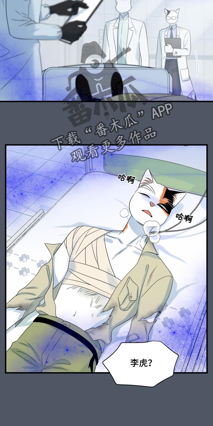 《灵猫欧米伽》漫画最新章节第85章：【第二季】失控免费下拉式在线观看章节第【20】张图片