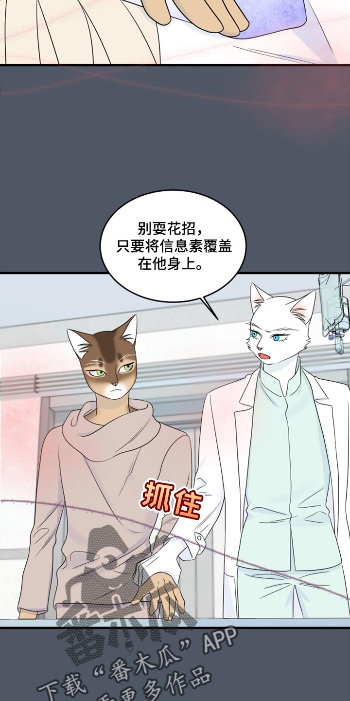 《灵猫欧米伽》漫画最新章节第86章：【第二季】忍耐免费下拉式在线观看章节第【15】张图片