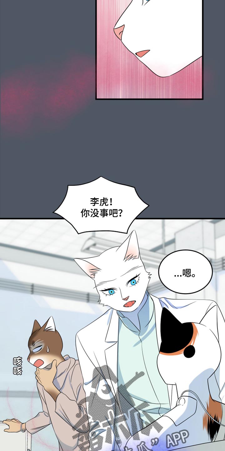 《灵猫欧米伽》漫画最新章节第86章：【第二季】忍耐免费下拉式在线观看章节第【11】张图片