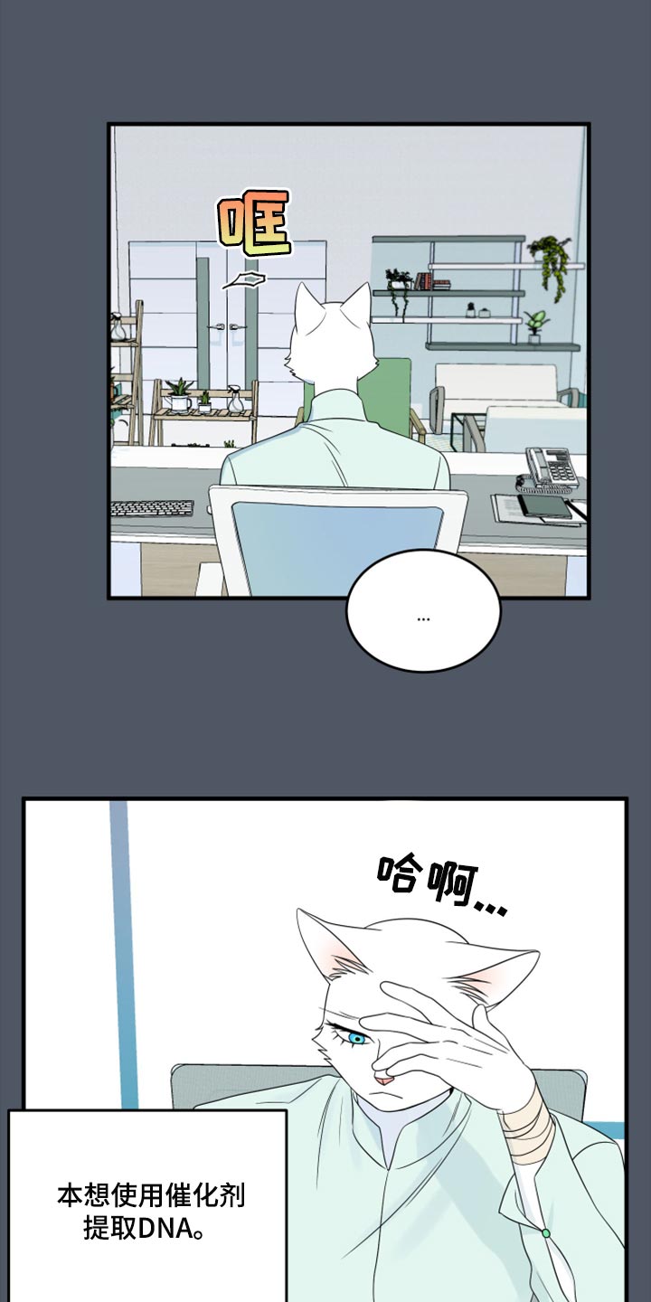 《灵猫欧米伽》漫画最新章节第86章：【第二季】忍耐免费下拉式在线观看章节第【19】张图片