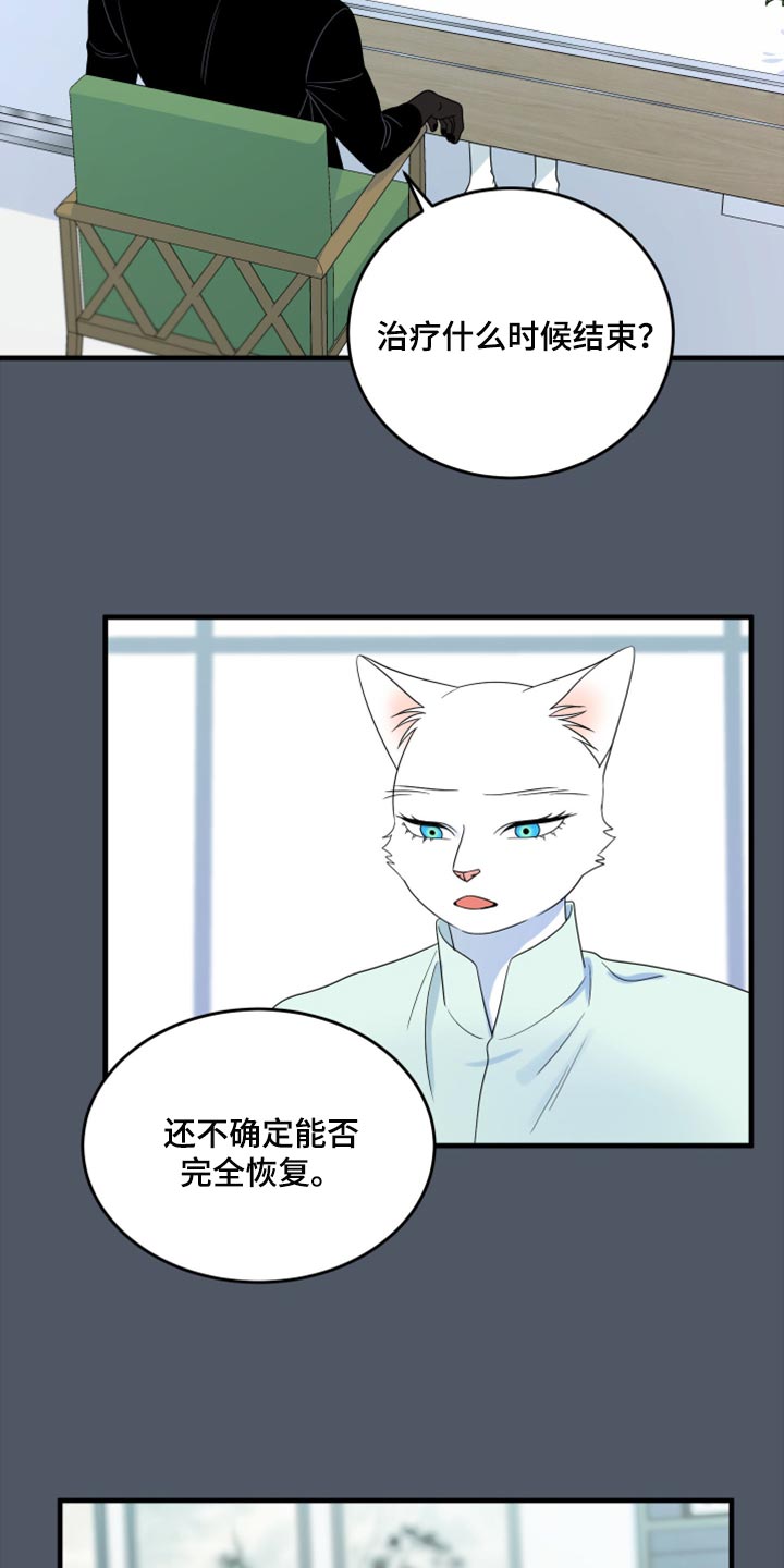 《灵猫欧米伽》漫画最新章节第86章：【第二季】忍耐免费下拉式在线观看章节第【21】张图片