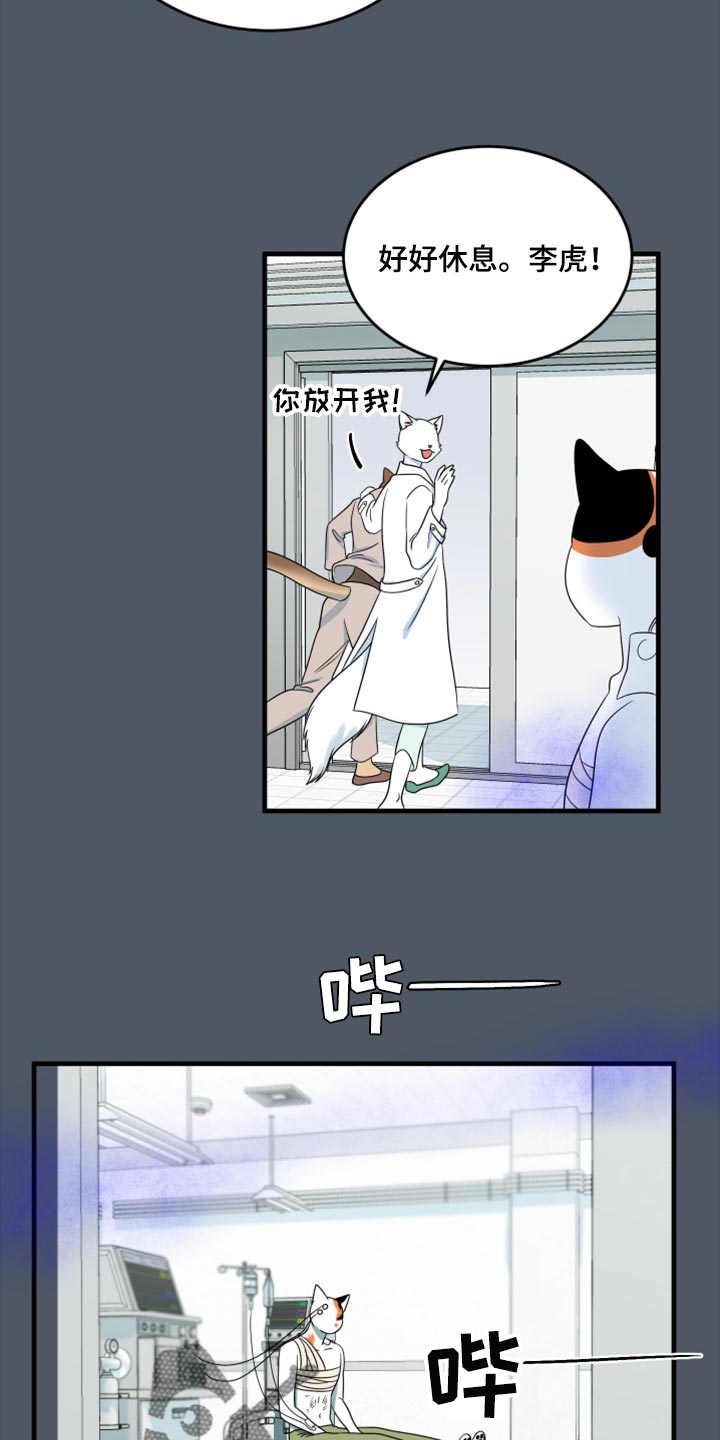 《灵猫欧米伽》漫画最新章节第86章：【第二季】忍耐免费下拉式在线观看章节第【5】张图片