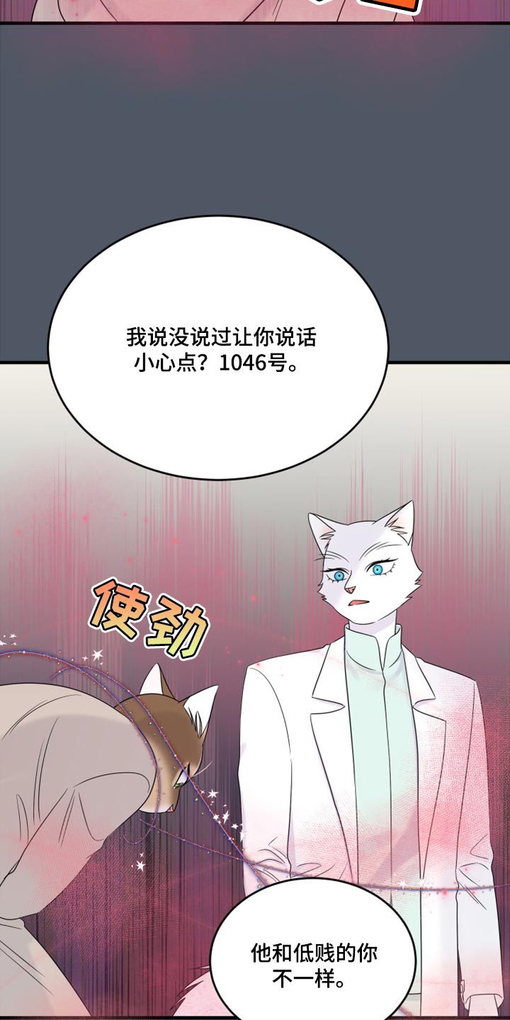 《灵猫欧米伽》漫画最新章节第86章：【第二季】忍耐免费下拉式在线观看章节第【13】张图片