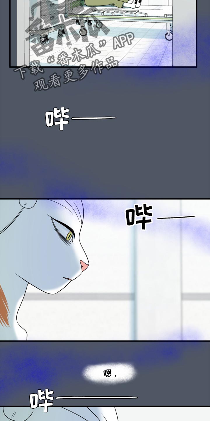 《灵猫欧米伽》漫画最新章节第86章：【第二季】忍耐免费下拉式在线观看章节第【4】张图片