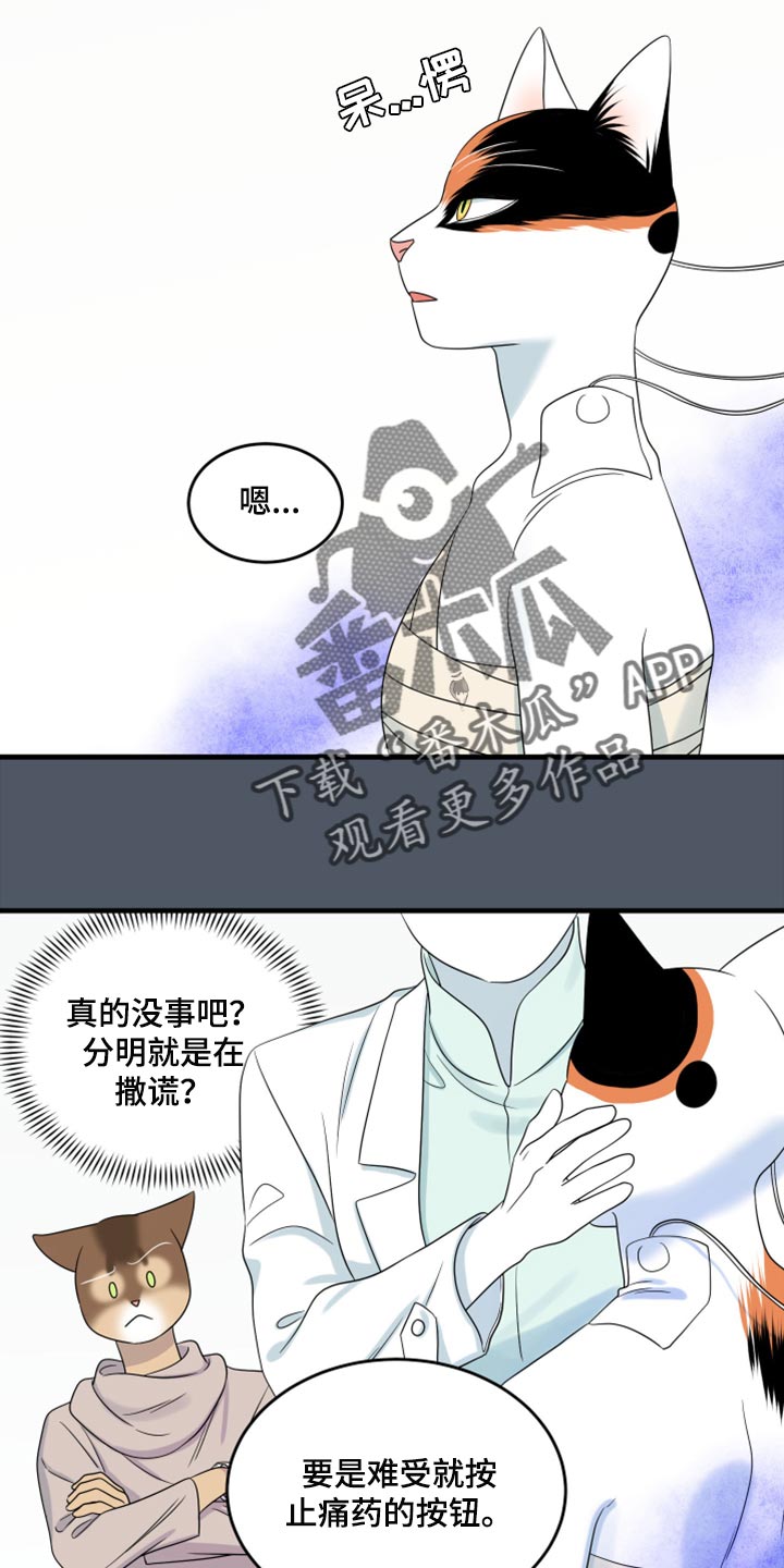 《灵猫欧米伽》漫画最新章节第86章：【第二季】忍耐免费下拉式在线观看章节第【7】张图片