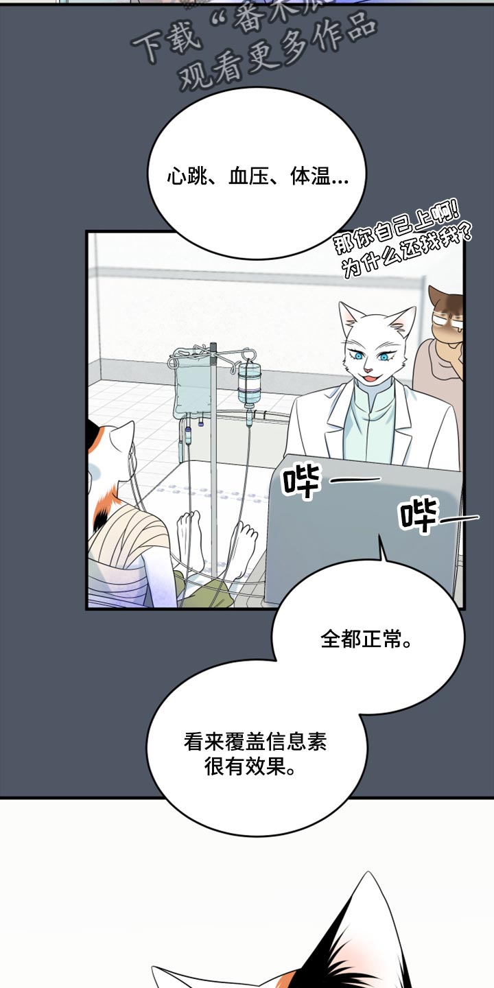 《灵猫欧米伽》漫画最新章节第86章：【第二季】忍耐免费下拉式在线观看章节第【10】张图片