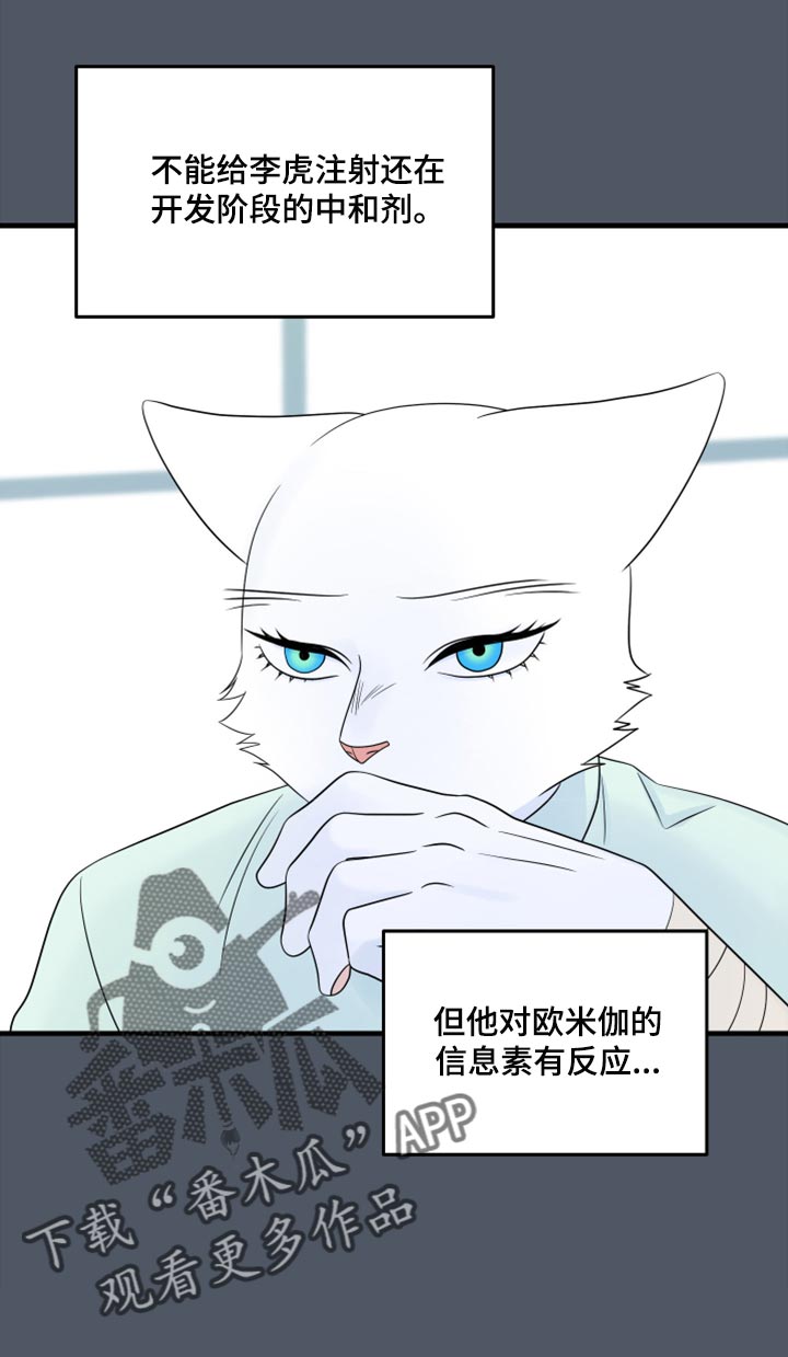 《灵猫欧米伽》漫画最新章节第86章：【第二季】忍耐免费下拉式在线观看章节第【17】张图片