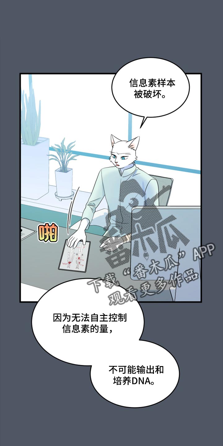 《灵猫欧米伽》漫画最新章节第86章：【第二季】忍耐免费下拉式在线观看章节第【24】张图片