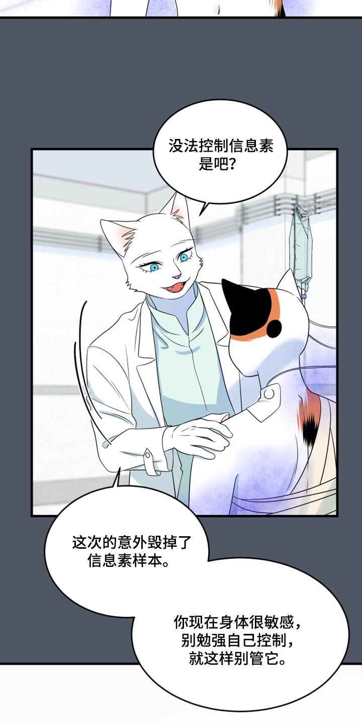 《灵猫欧米伽》漫画最新章节第86章：【第二季】忍耐免费下拉式在线观看章节第【8】张图片