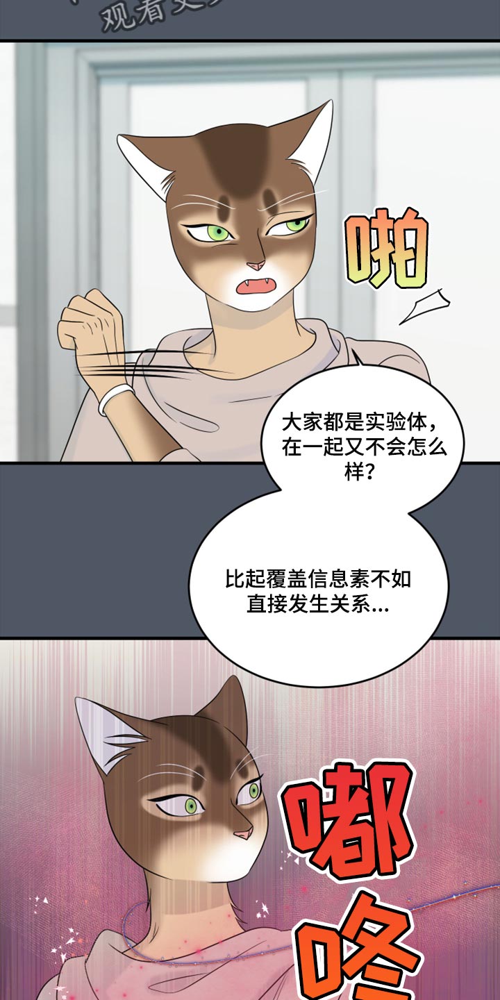 《灵猫欧米伽》漫画最新章节第86章：【第二季】忍耐免费下拉式在线观看章节第【14】张图片