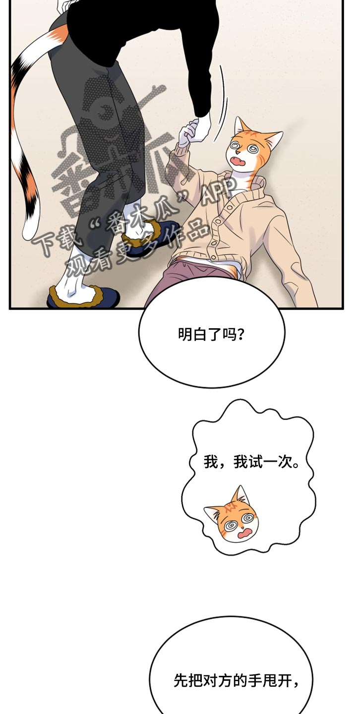 《灵猫欧米伽》漫画最新章节第87章：【第二季】学习防身术免费下拉式在线观看章节第【13】张图片