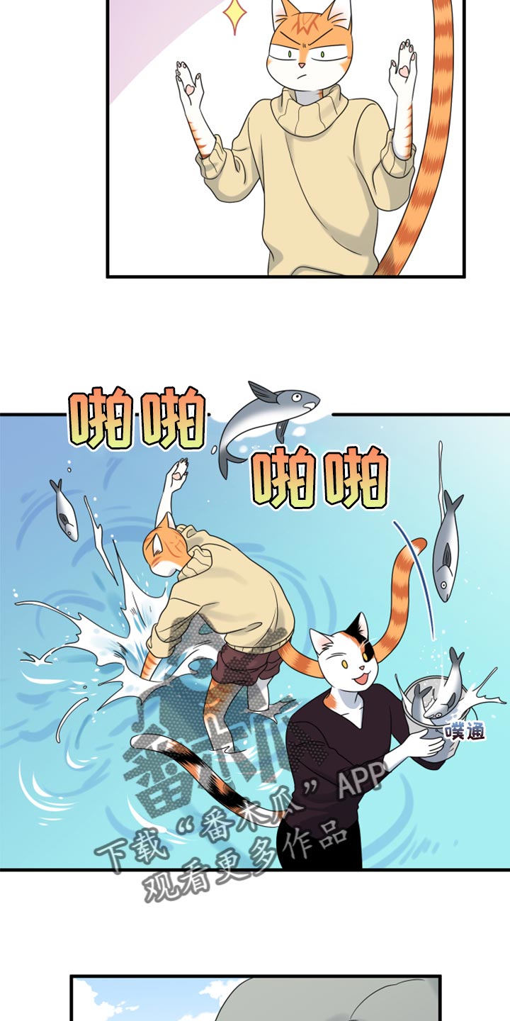 《灵猫欧米伽》漫画最新章节第87章：【第二季】学习防身术免费下拉式在线观看章节第【6】张图片