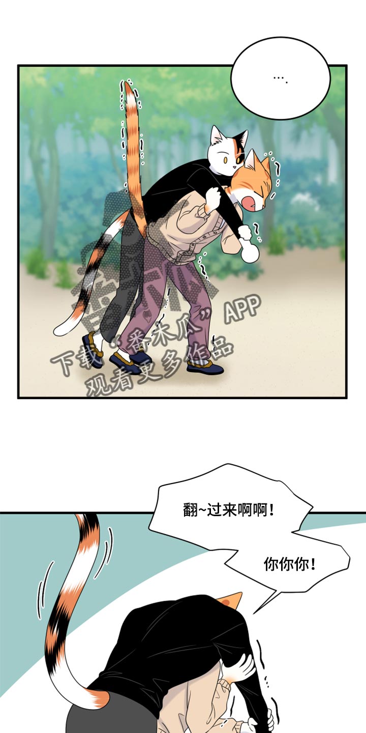 《灵猫欧米伽》漫画最新章节第87章：【第二季】学习防身术免费下拉式在线观看章节第【10】张图片